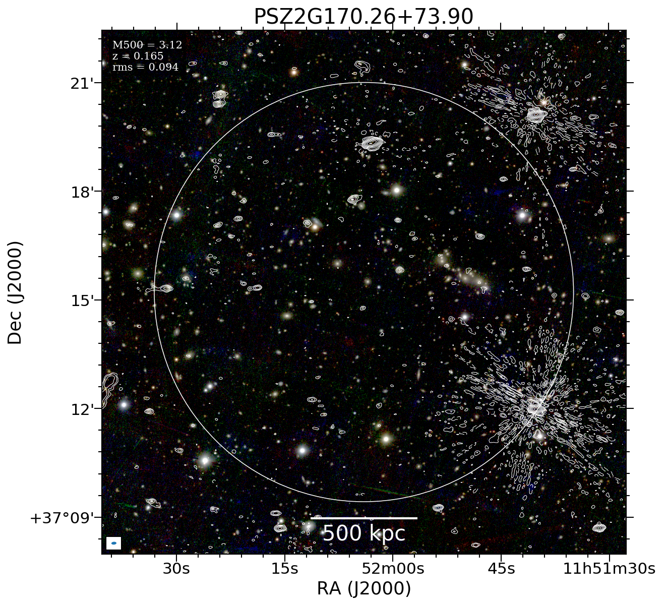 No optical image available