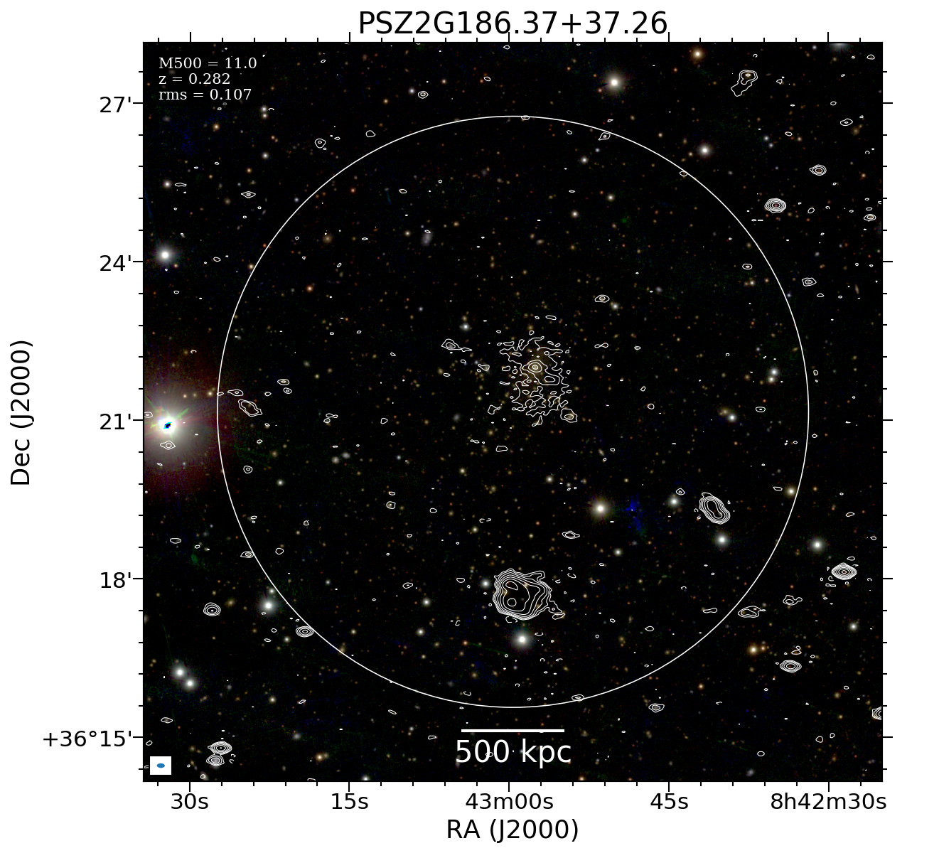 No optical image available